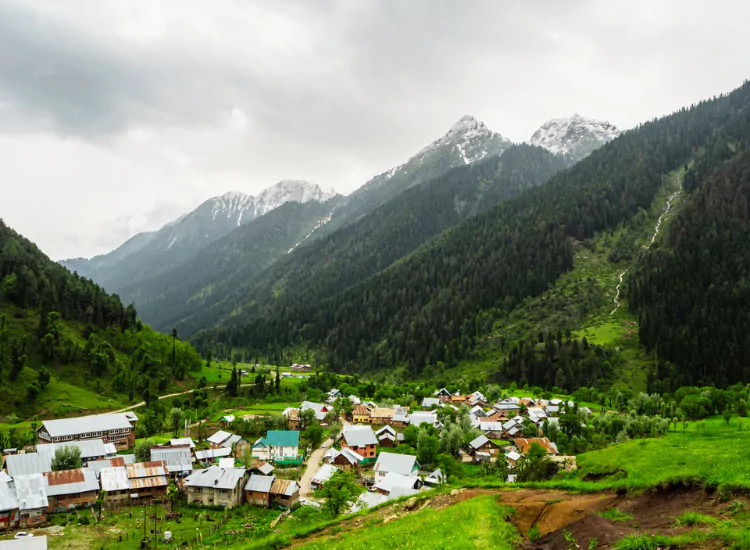 Aru Valley