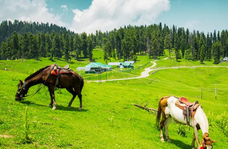 Gulmarg