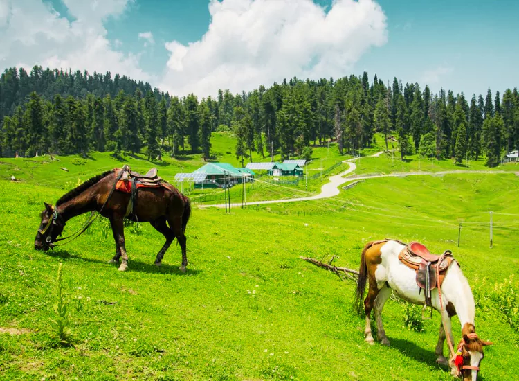 Gulmarg