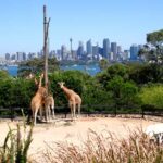 Taronga Zoo Sydney