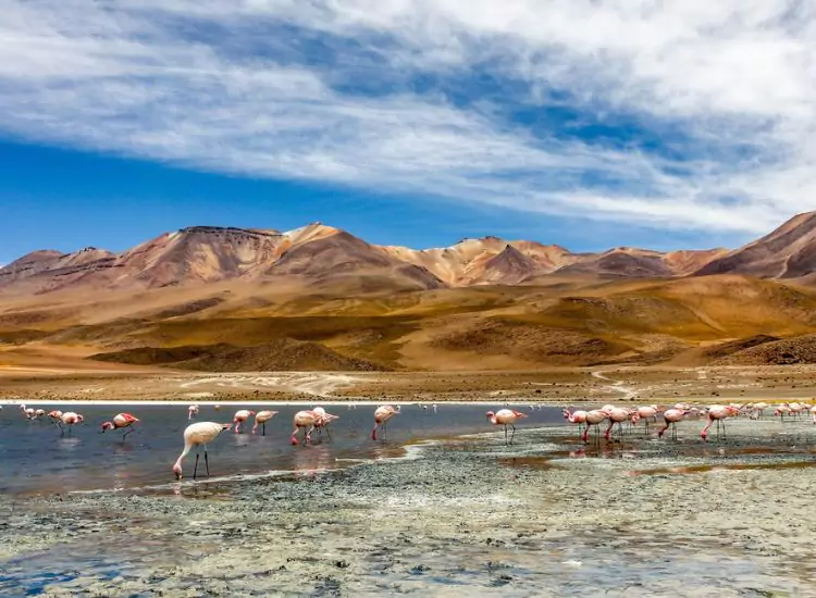 Bolivia