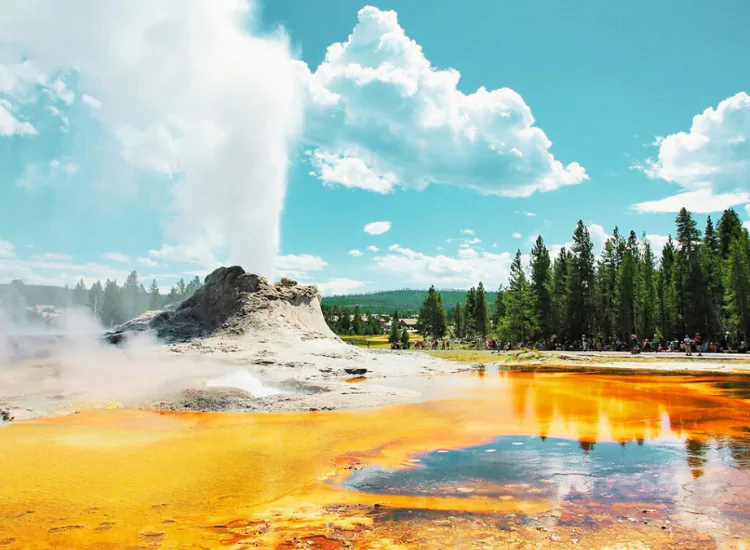 Yellowstone National Park