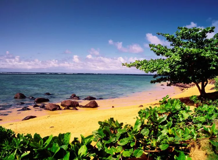 Anini Beach, Kauai