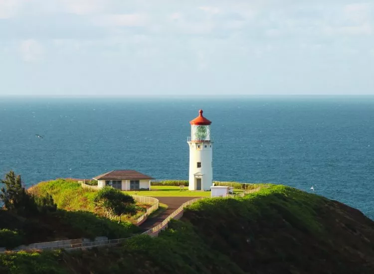 Kilauea Lighthouse & Wildlife Refuge - Places to Visit in Kauai