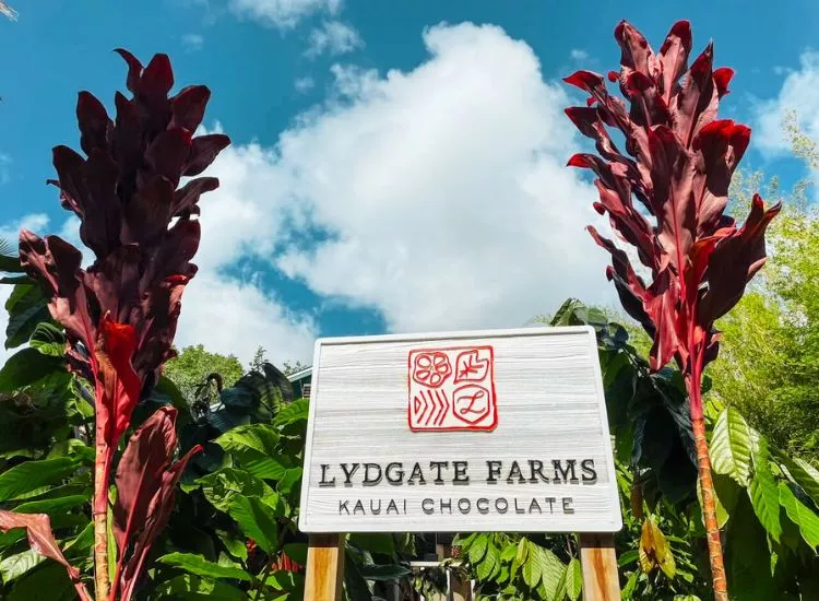 Lydgate Farms Kauai Chocolate