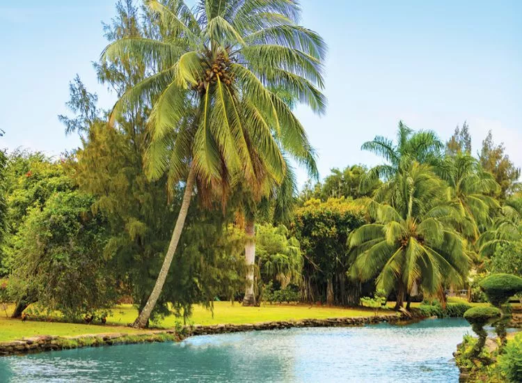 Smith's Tropical Paradise