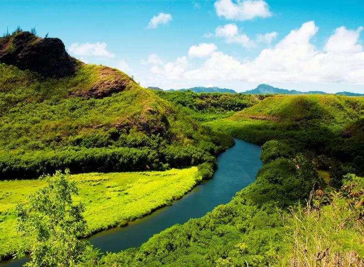Wailua River - Places to Visit in Kauai