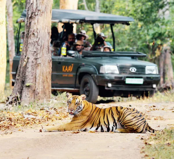 Ranthambore Jeep Safari