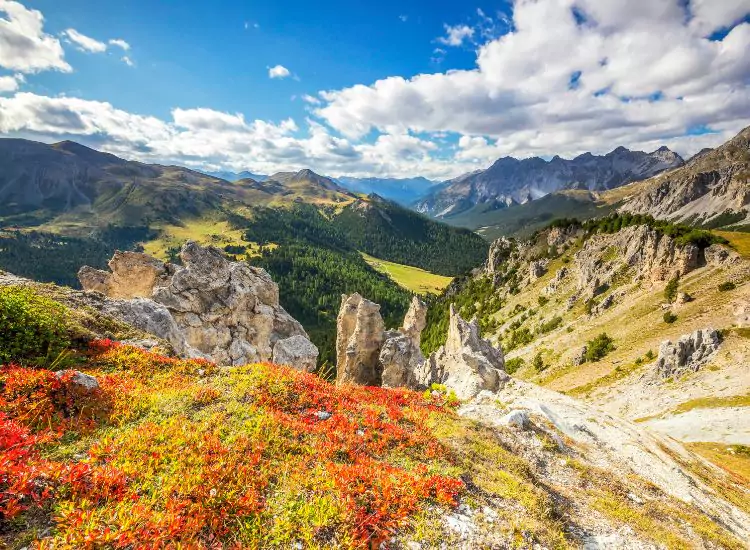 Swiss National Park Switzerland