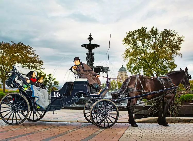 Horse‑Drawn Carriage Ride Quebec City