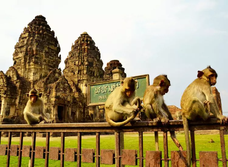 Lopburi, Thailand