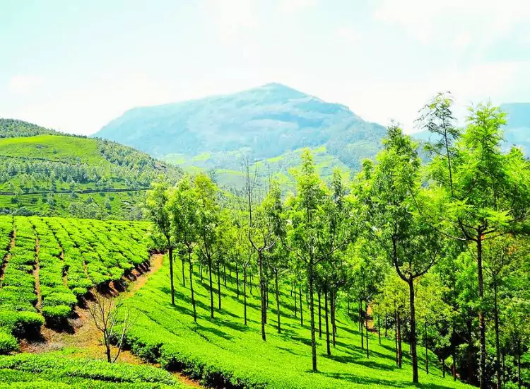 Munnar