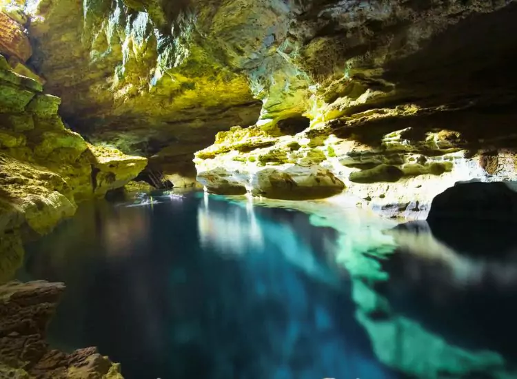 Palm’s Cave - Brazil