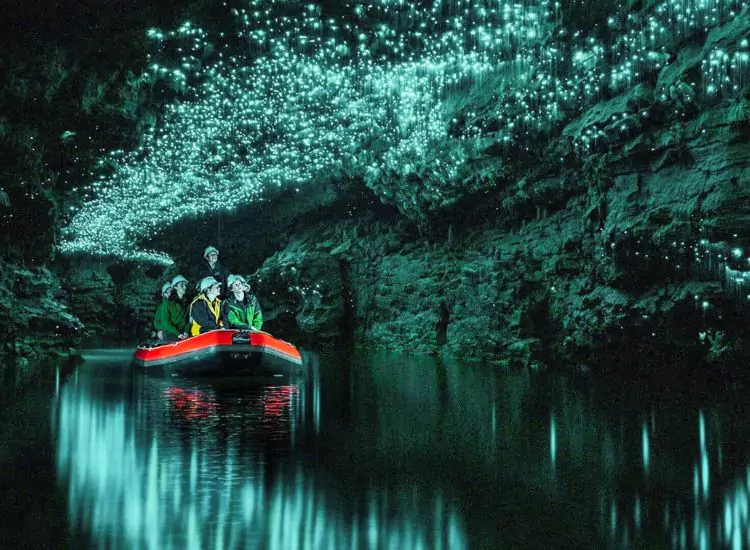 Waitomo Glowworm Caves - New Zealand