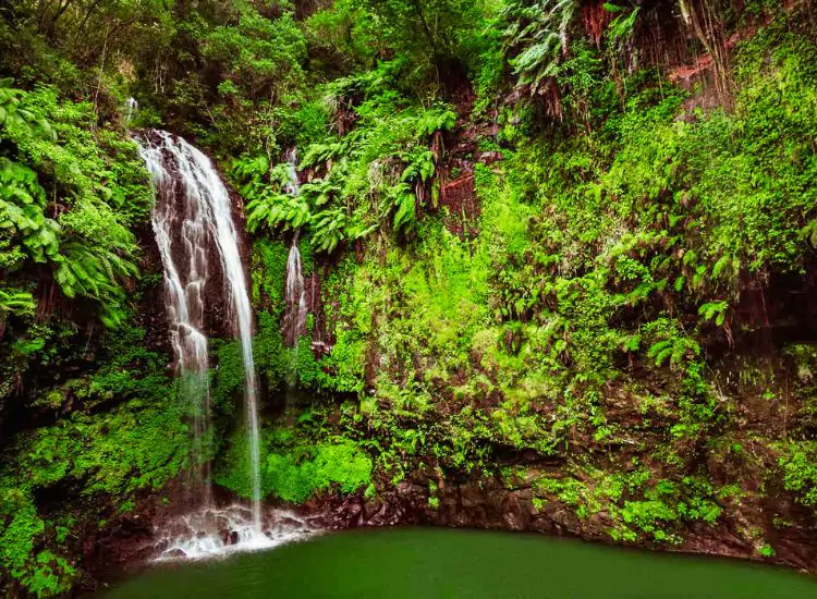 Amber Mountain National Park