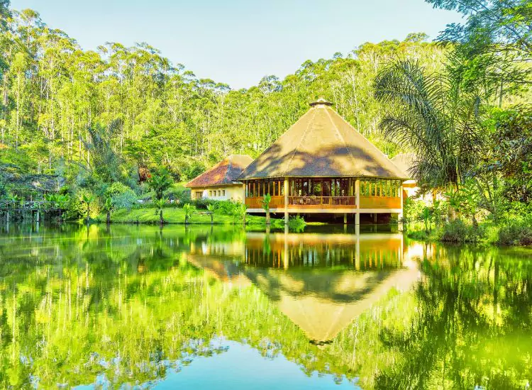 Andasibe-Mantadia National Park - Tourist Attractions in Madagascar