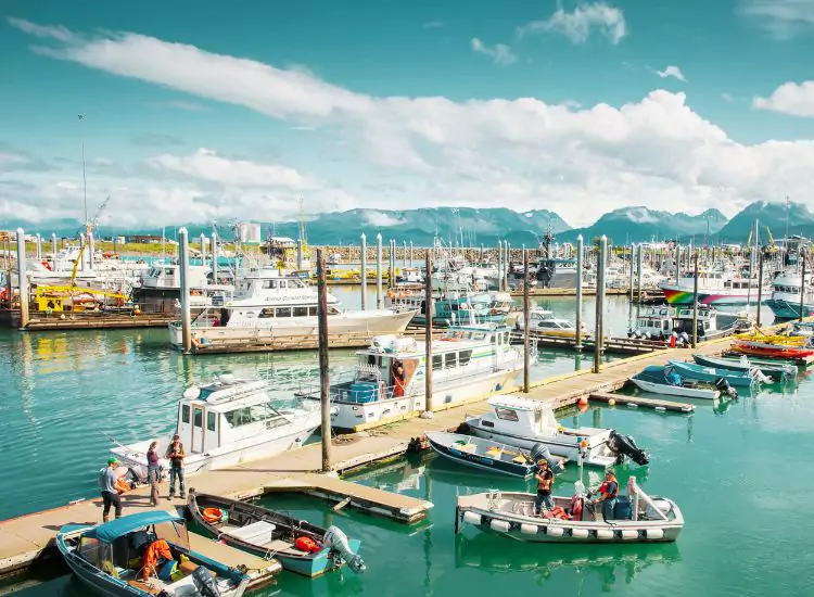 Homer Alaska