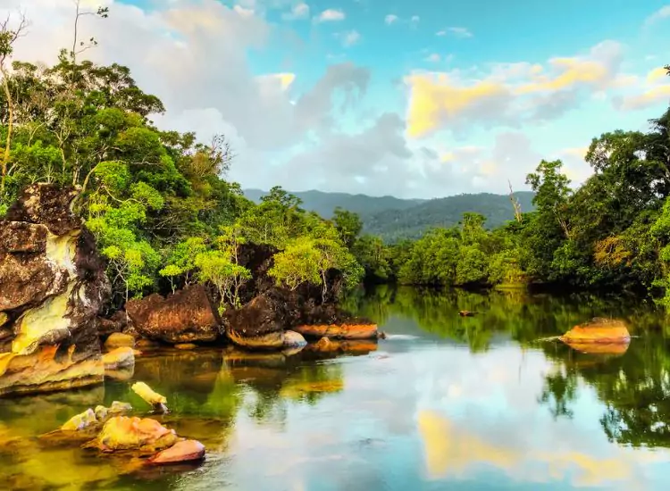 Masoala National Park