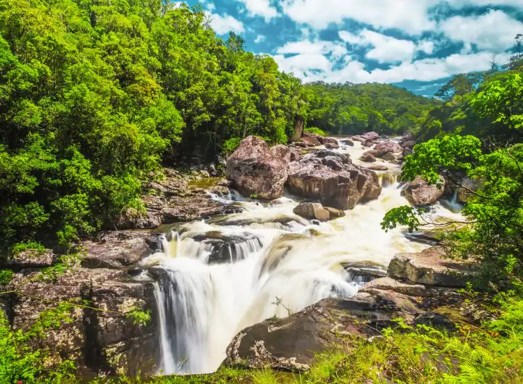 Ranomafana National Park - Tourist Attractions in Madagascar