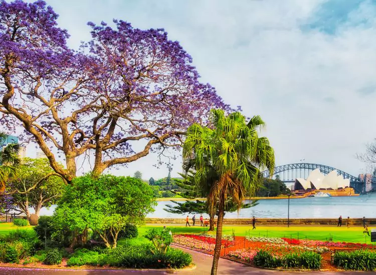 Royal Botanic Garden - Places to Visit in Sydney