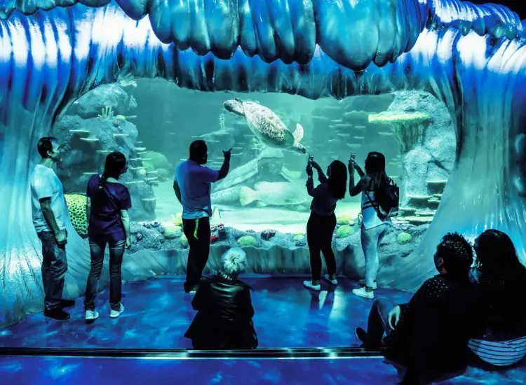 Sea Life Sydney Aquarium