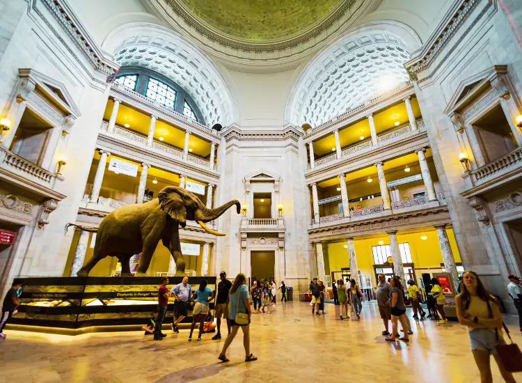 Smithsonian National Museum of Natural History - Museums in Washington DC