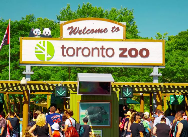Toronto Zoo
