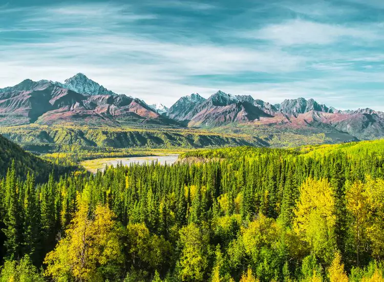 Wrangell-St. Elias National Park