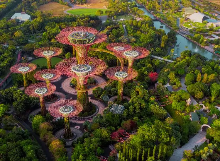 Gardens by the Bay - Places to Visit in Singapore