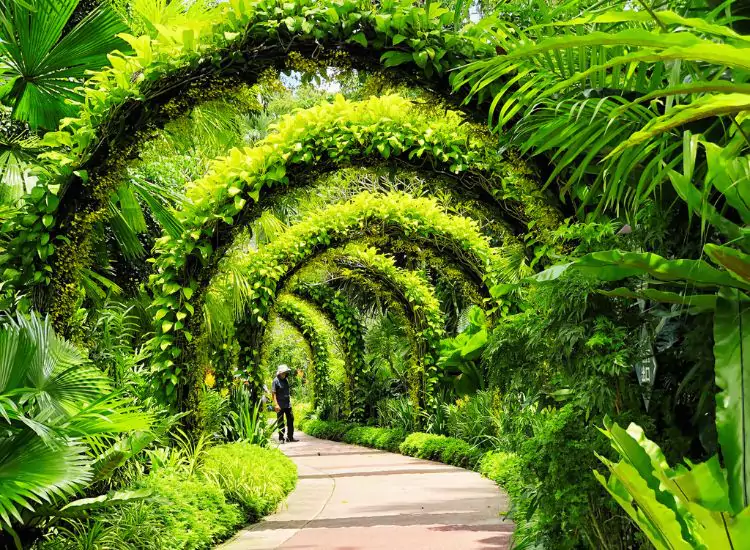 Singapore Botanic Gardens