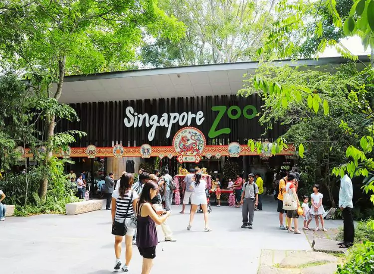 Singapore Zoo