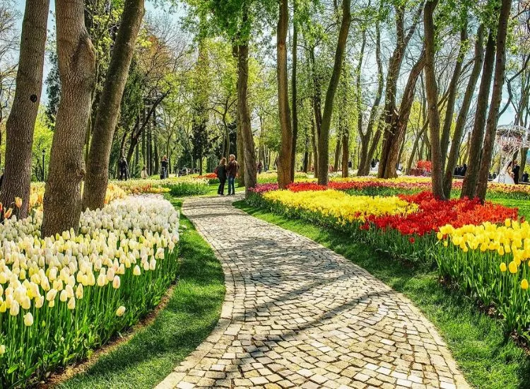 Emirgan Park, Istanbul