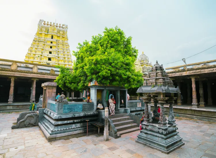 Ekambareswarar Temple