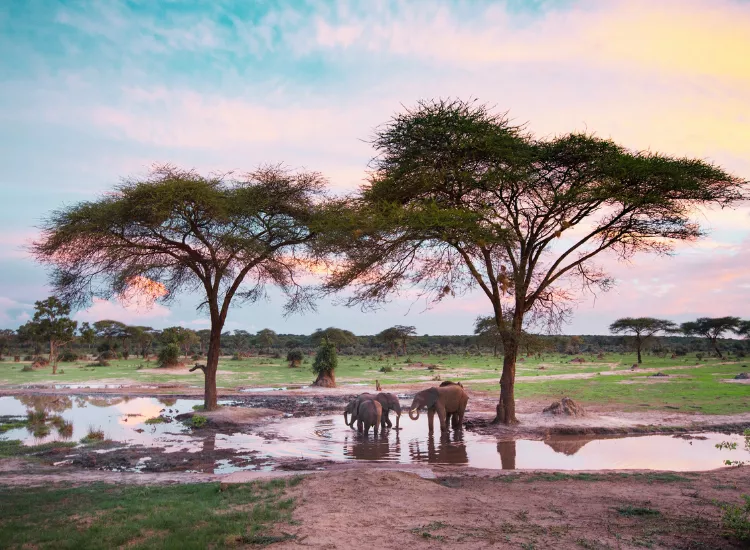 Hwange National Park - Places to Visit in Zimbabwe