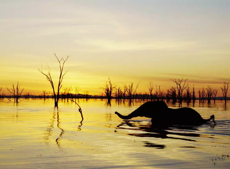 Lake Kariba - Places to Visit in Zimbabwe