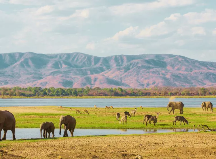 Mana Pools National Park - Places to Visit in Zimbabwe