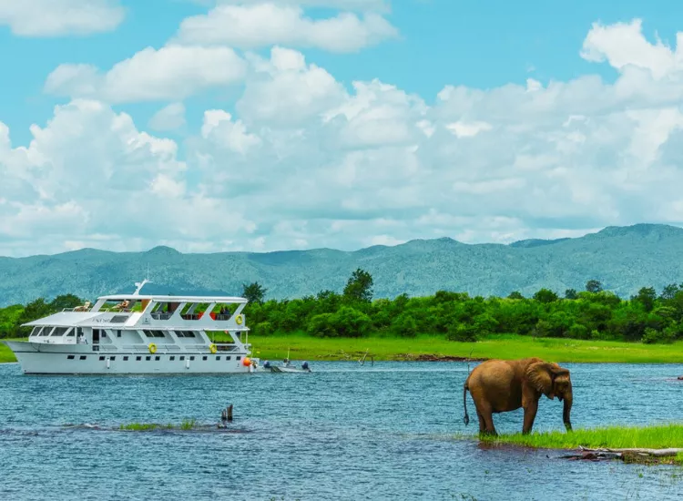 Matusadona National Park Zimbabwe