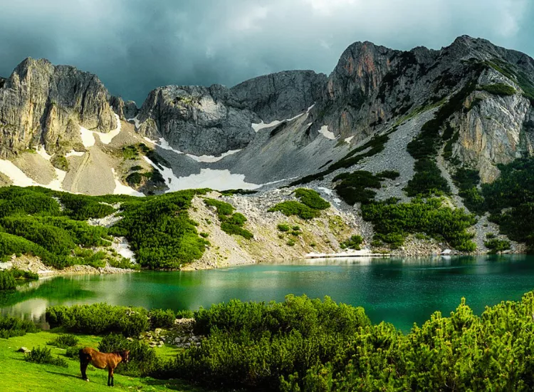 Pirin National Park Bulgaria