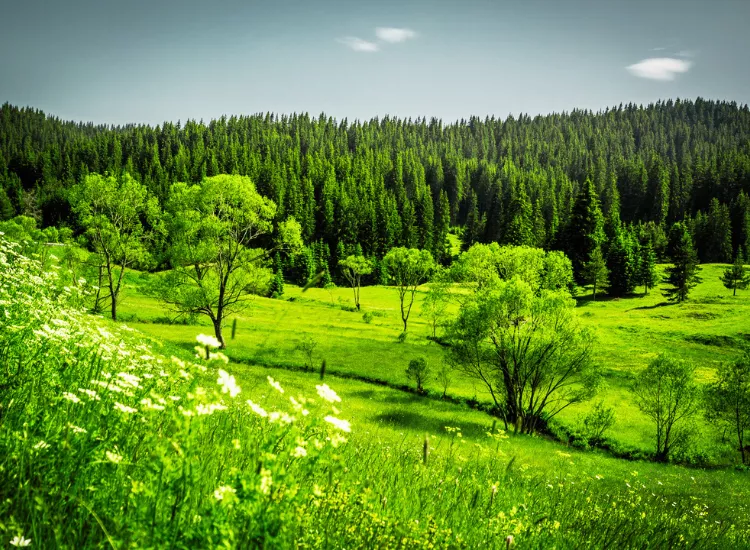 Rhodope Mountains Bulgaria