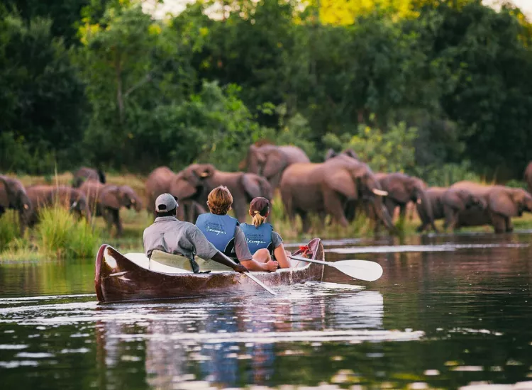 Zambezi National Park Zimbabwe